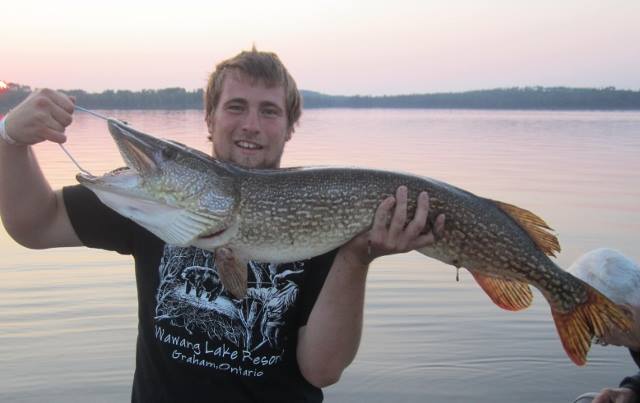 Xavier with 41" Pike